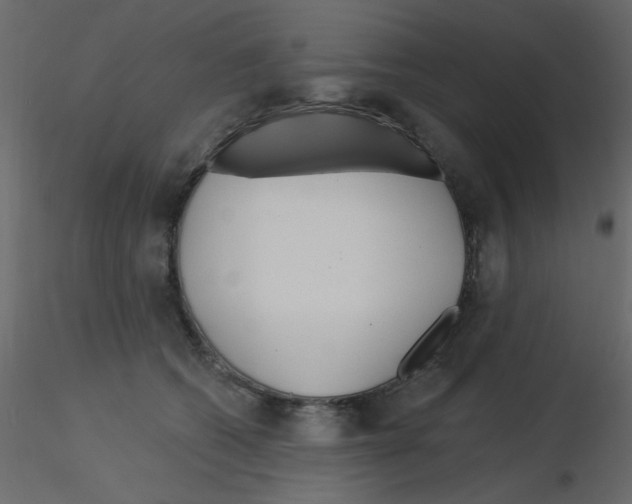 X0000115830562200912241958