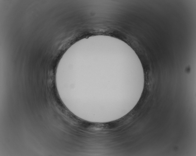 X0000115830563200912241958