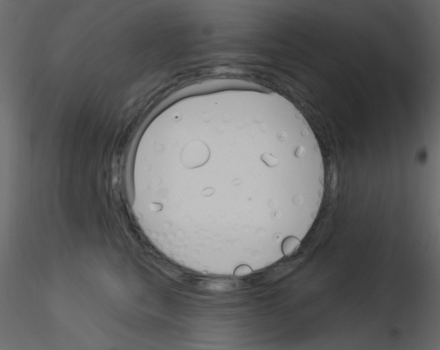 X0000115830567200912241958