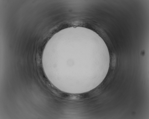 X0000115830569200912241958