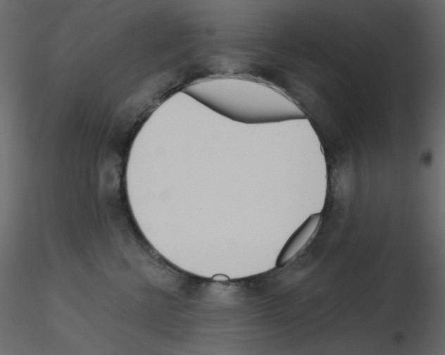 X0000115830570200912241958