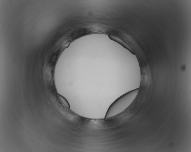 X0000115830573200912241958