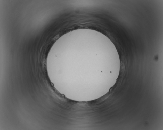 X0000115830574200912241958