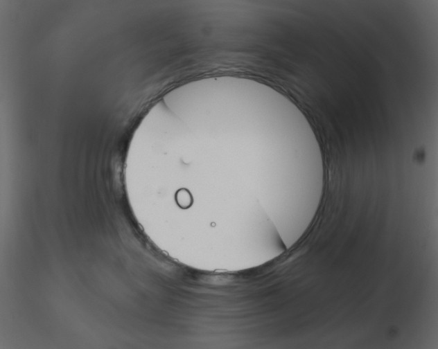 X0000115830575200912241958