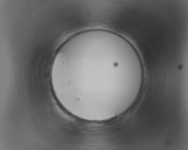 X0000115830577200912241958