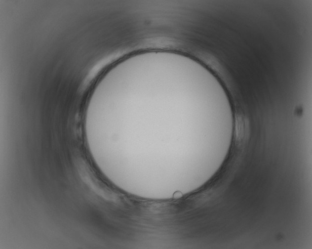 X0000115830579200912241958