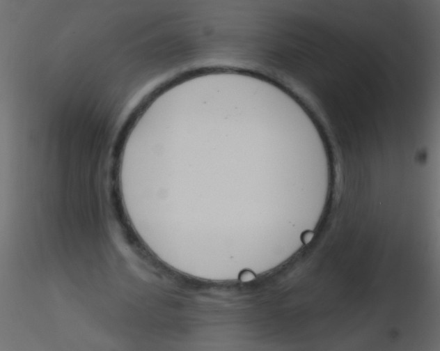 X0000115830580200912241958