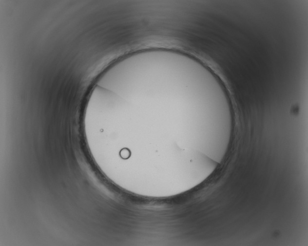 X0000115830581200912241958