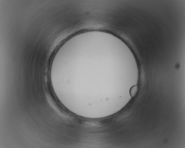 X0000115830582200912241958