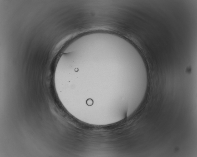 X0000115830583200912241958