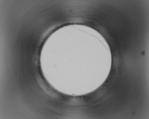 X0000115830584200912241958