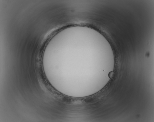 X0000115830587200912241957