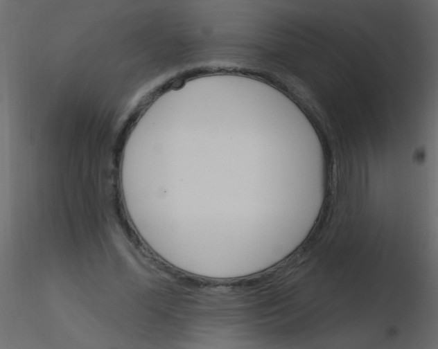 X0000115830588200912241957