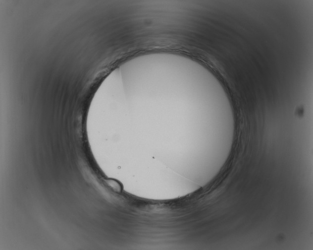 X0000115830589200912241957