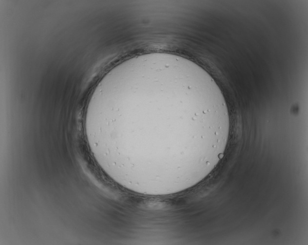 X0000115830590200912241957