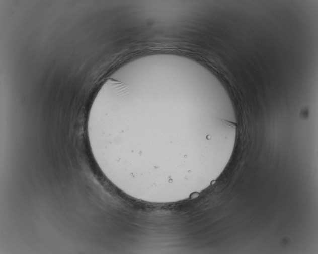 X0000115830593200912241957