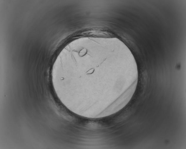 X0000115830596200912241957