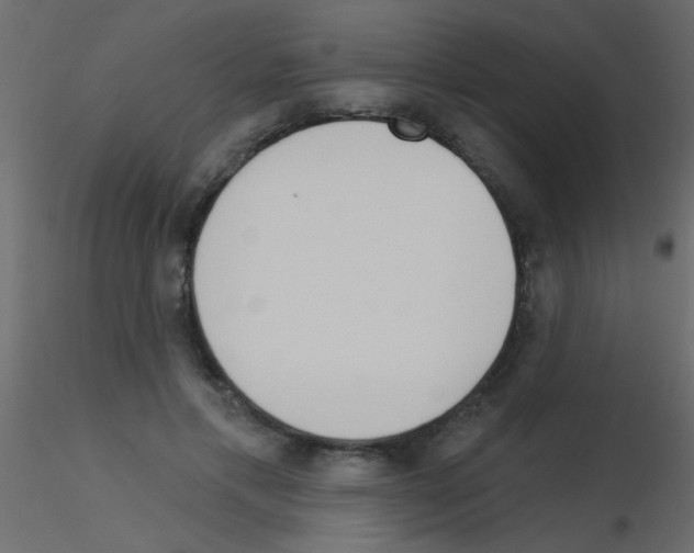 X0000115830597200912241957