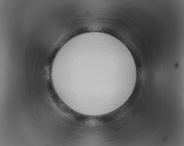 X0000115830598200912241957