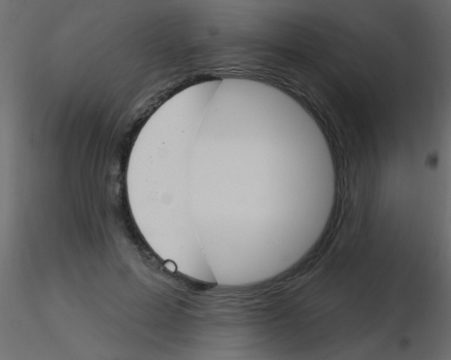 X0000115830599200912241957