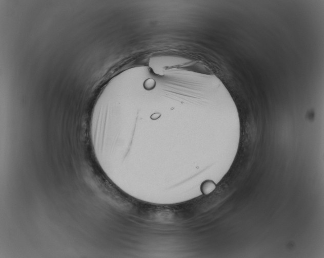 X0000115830600200912241957