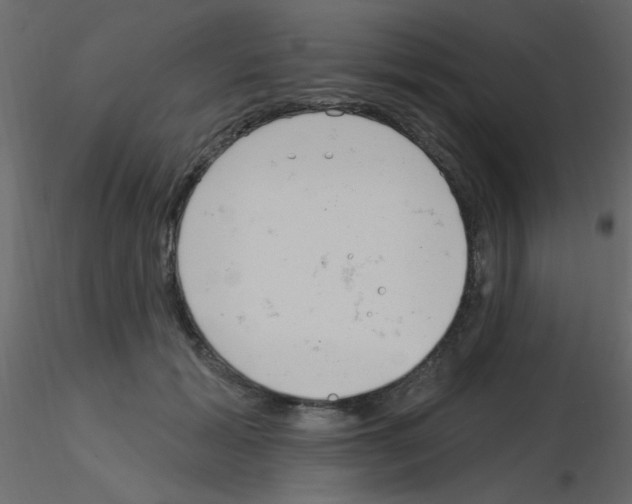 X0000115830605200912241957