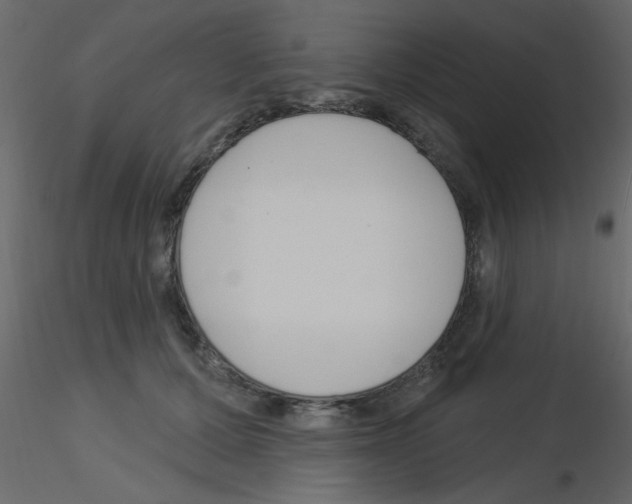 X0000115830607200912241957