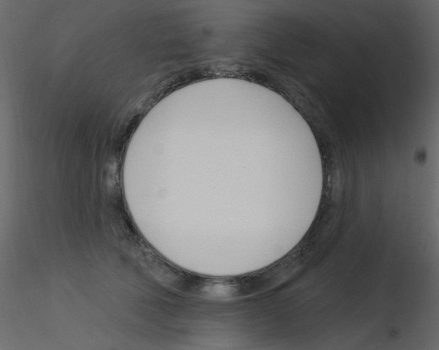 X0000115830610200912241957