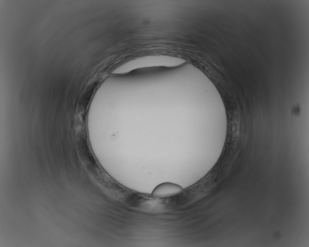 X0000115830611200912241957