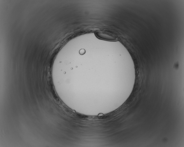 X0000115830612200912241957