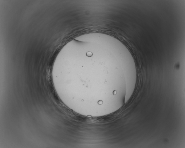 X0000115830613200912241957