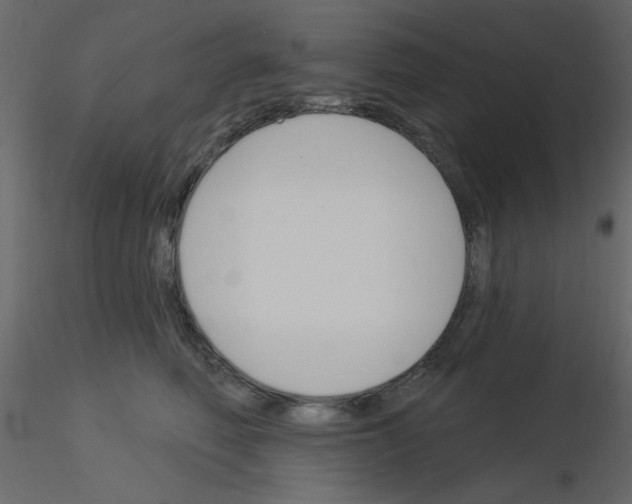 X0000115830614200912241957