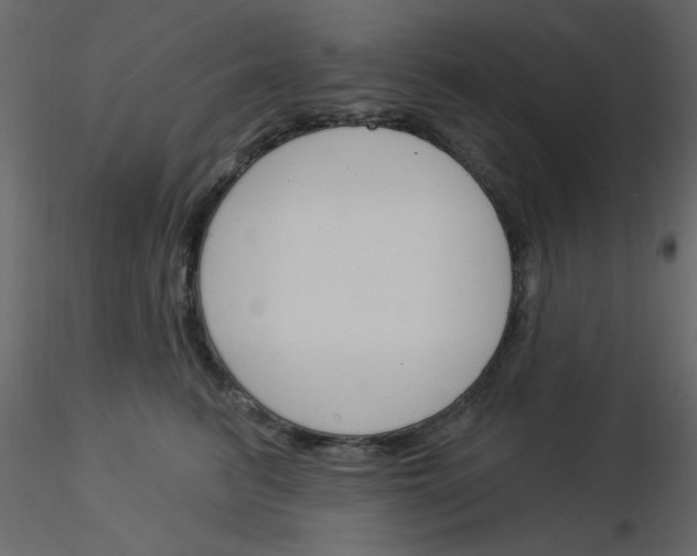 X0000115830615200912241957