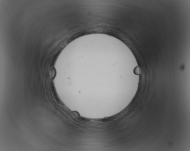 X0000115830617200912241957