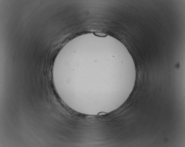 X0000115830620200912241957