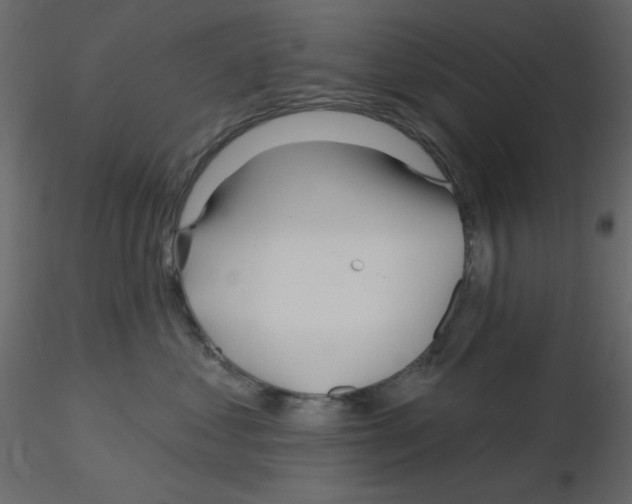 X0000115830621200912241957