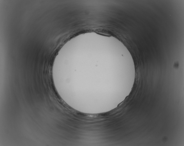 X0000115830623200912241957