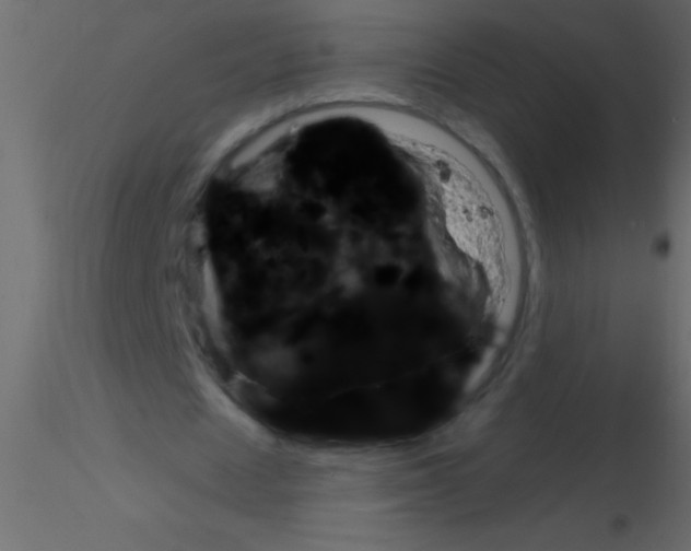 X0000115830625200912241956