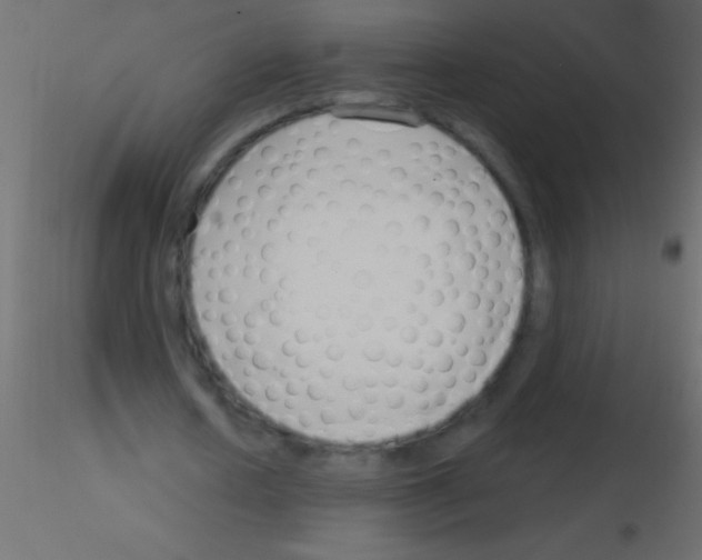 X0000115830626200912241956