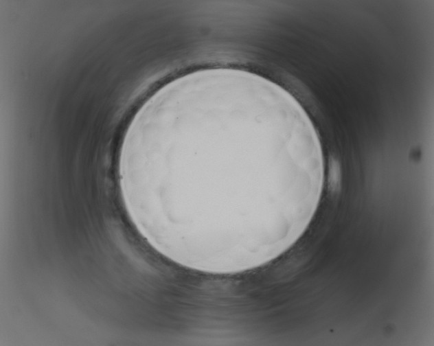 X0000115830627200912241956