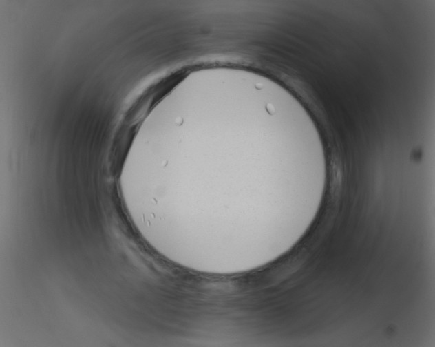 X0000115830628200912241956