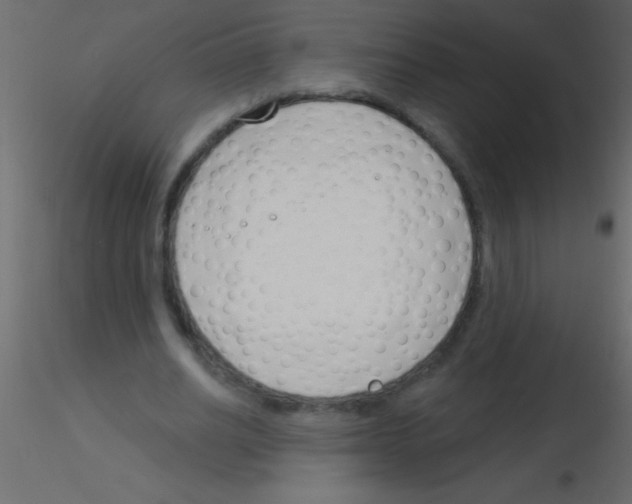 X0000115830630200912241956