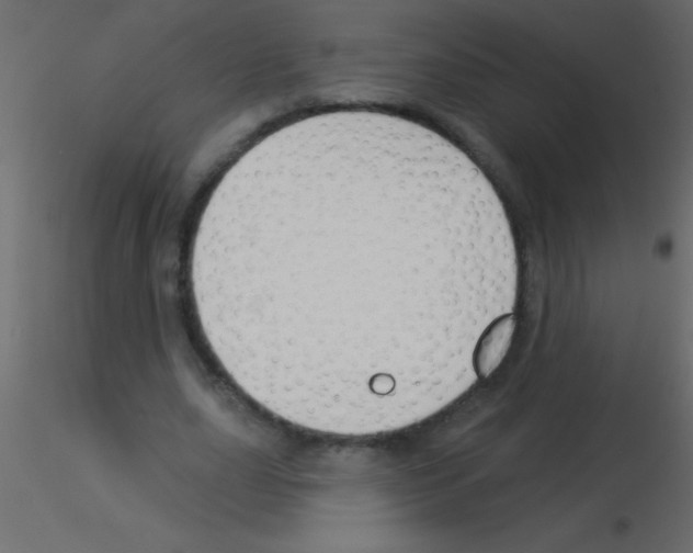 X0000115830631200912241956