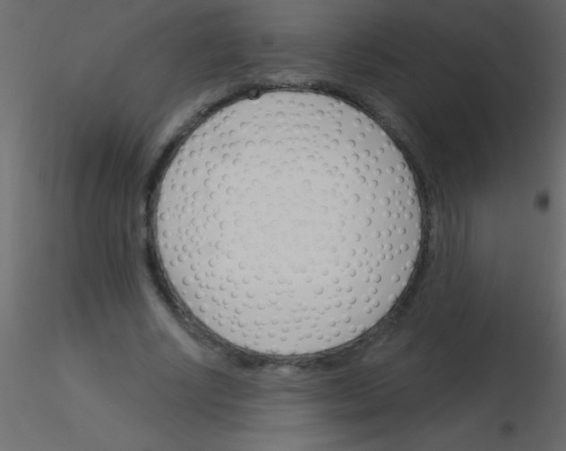 X0000115830634200912241956