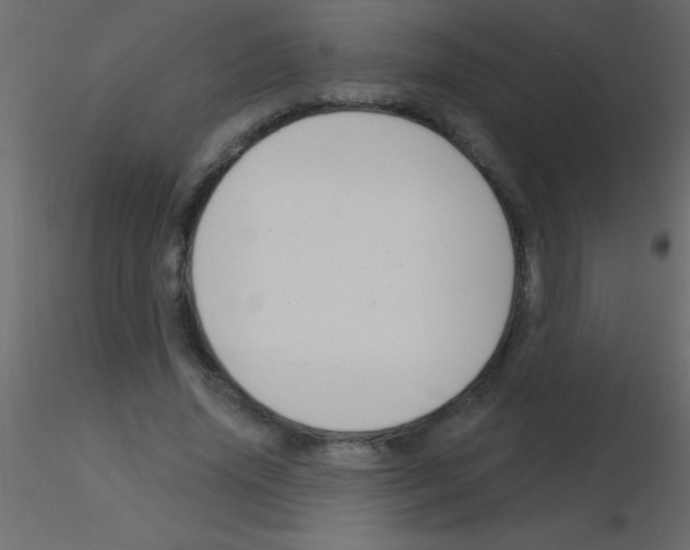 X0000115830636200912241956