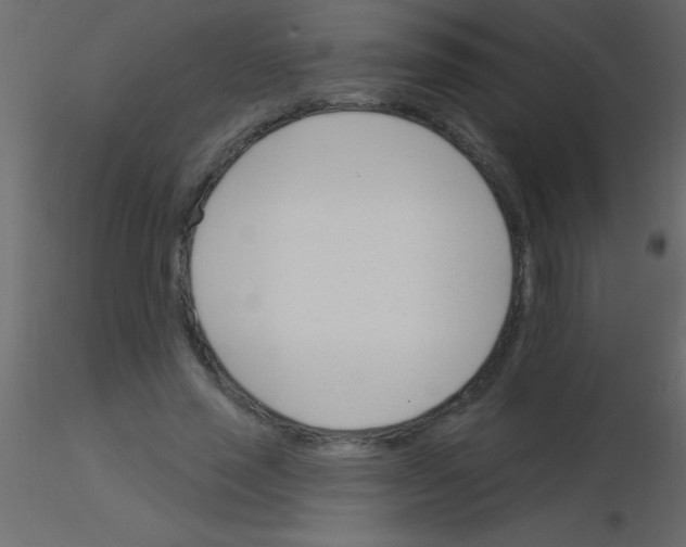 X0000115830637200912241956