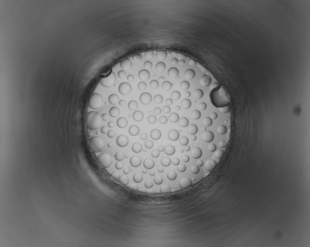 X0000115830638200912241957