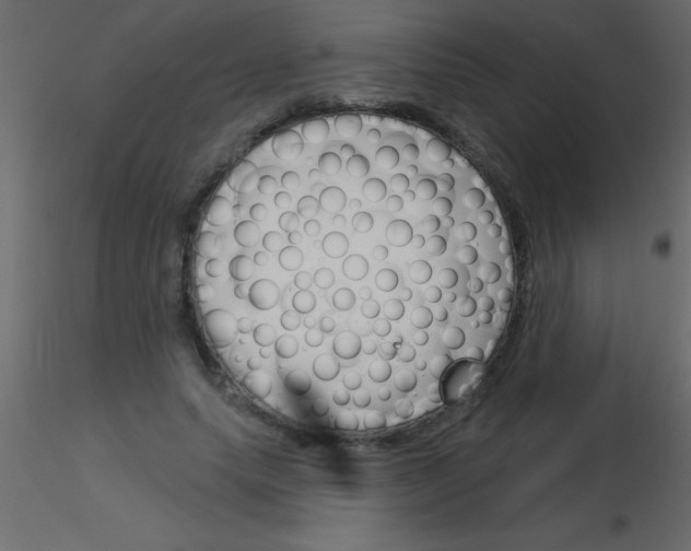 X0000115830639200912241957