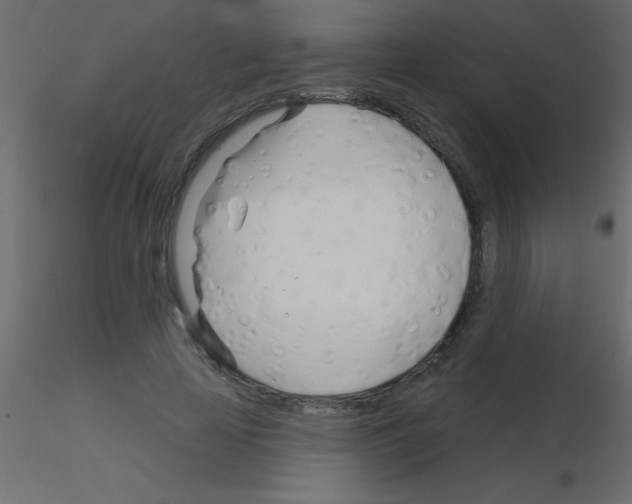 X0000115830641200912241957