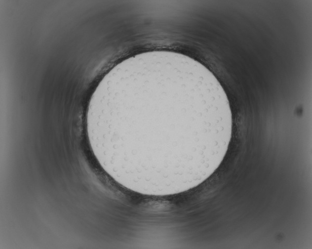 X0000115830642200912241957